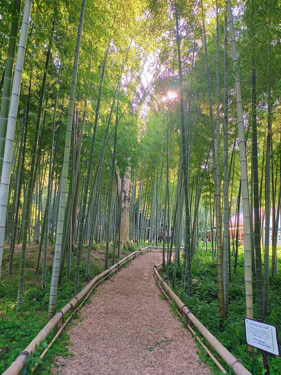 県立茅ヶ崎里山公園の写真