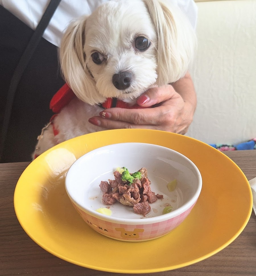 ドッグカフェ シュシュ・クレール（chou2clair）の写真
