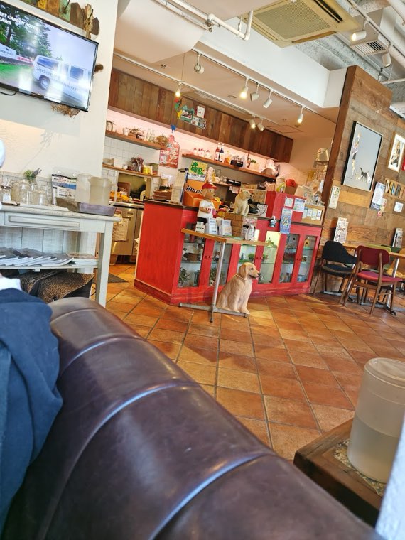 DOG DEPT+CAFE お台場東京ビーチ店の写真
