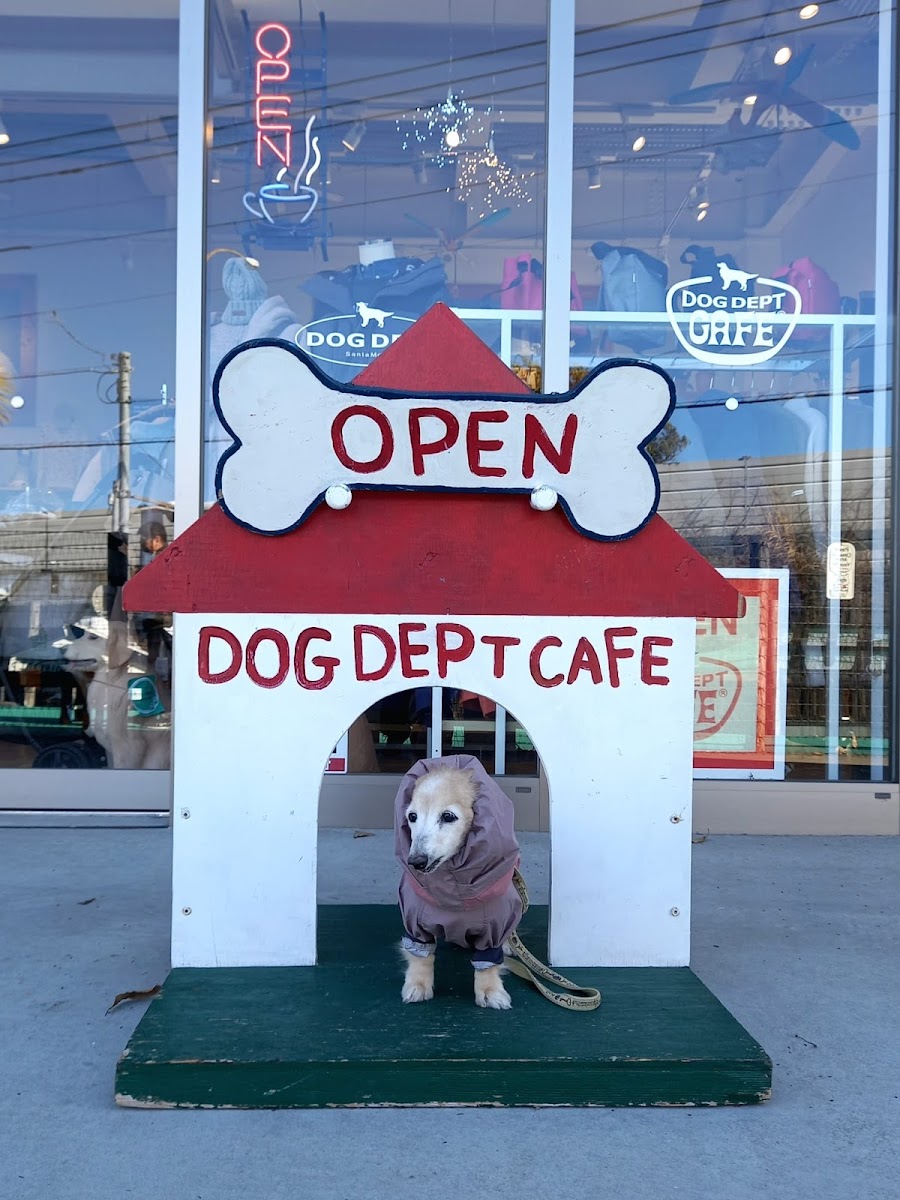 DOG DEPT GARDEN 御殿場店の写真