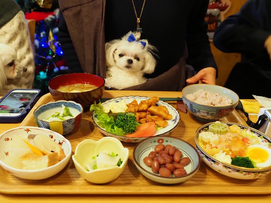 dog cafe 笑夢 emuの写真