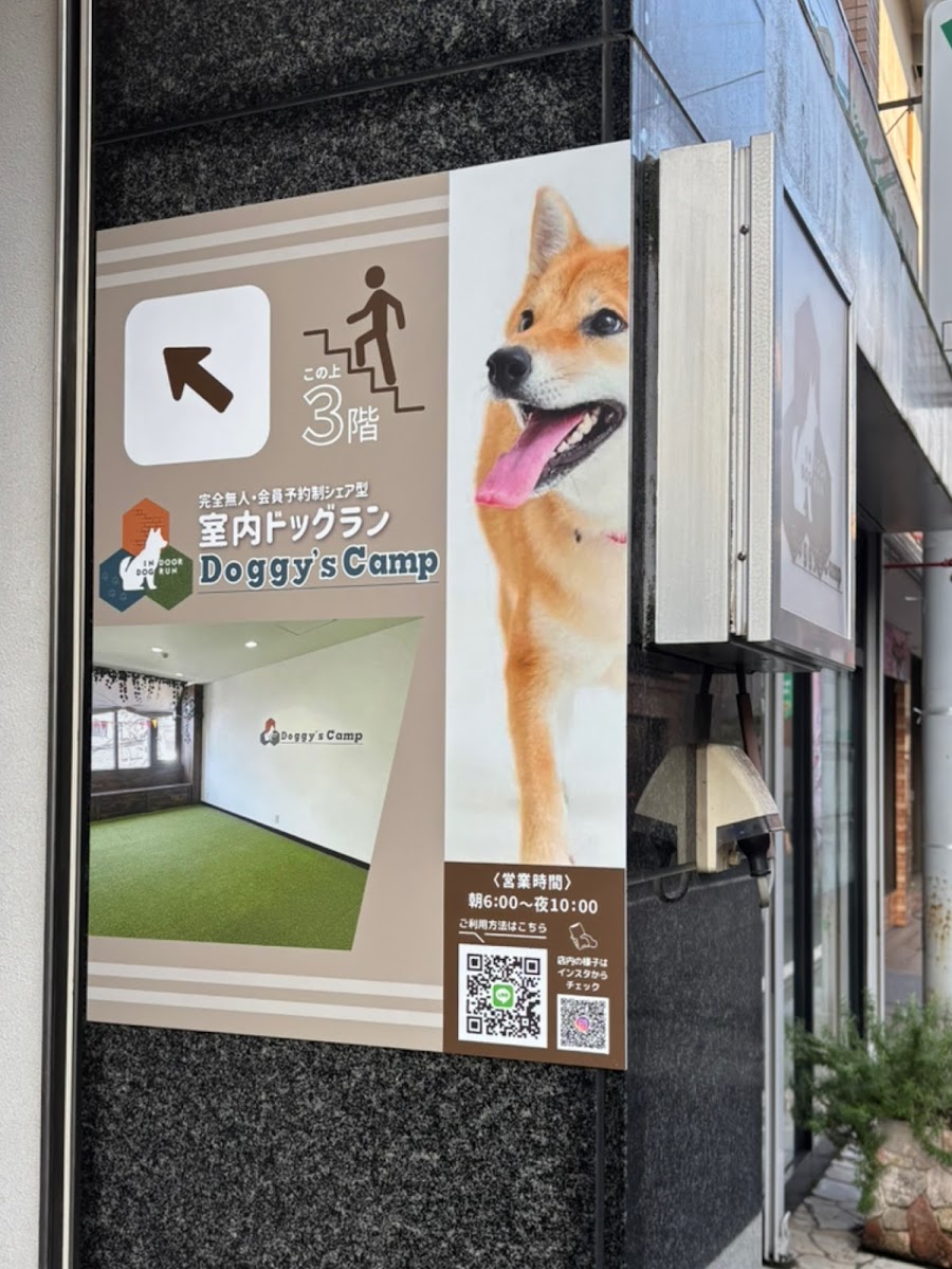 Doggy's Camp（ドギーズキャンプ）室内ドッグランの写真