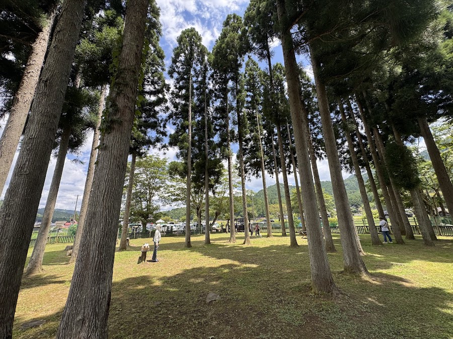 DOG PARK 山国の写真