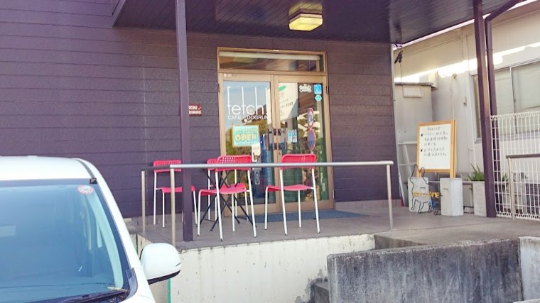 DOGRUN+CAFE FETCH!の写真