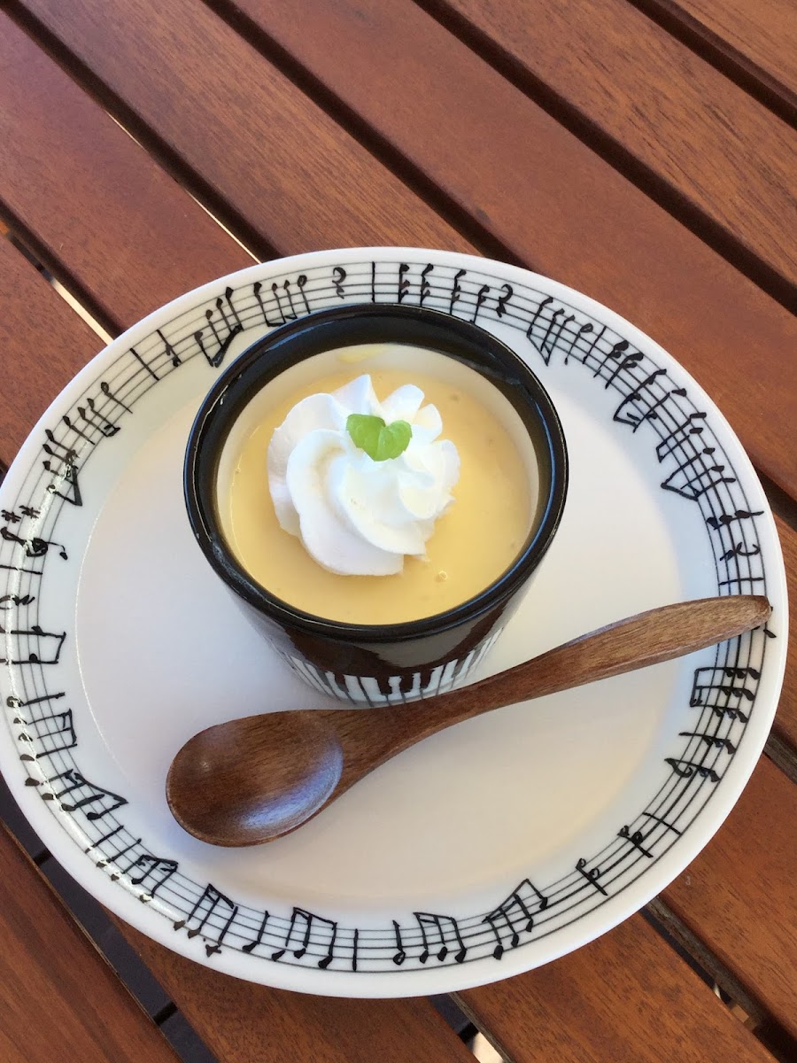 ドッグラン&カフェmomoの写真