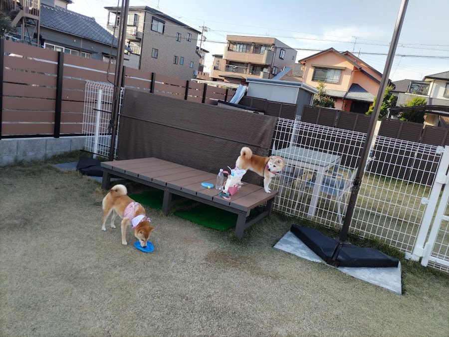 貸切りドッグランPokoの写真