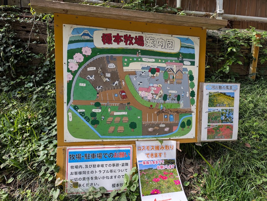 榎本牧場の写真