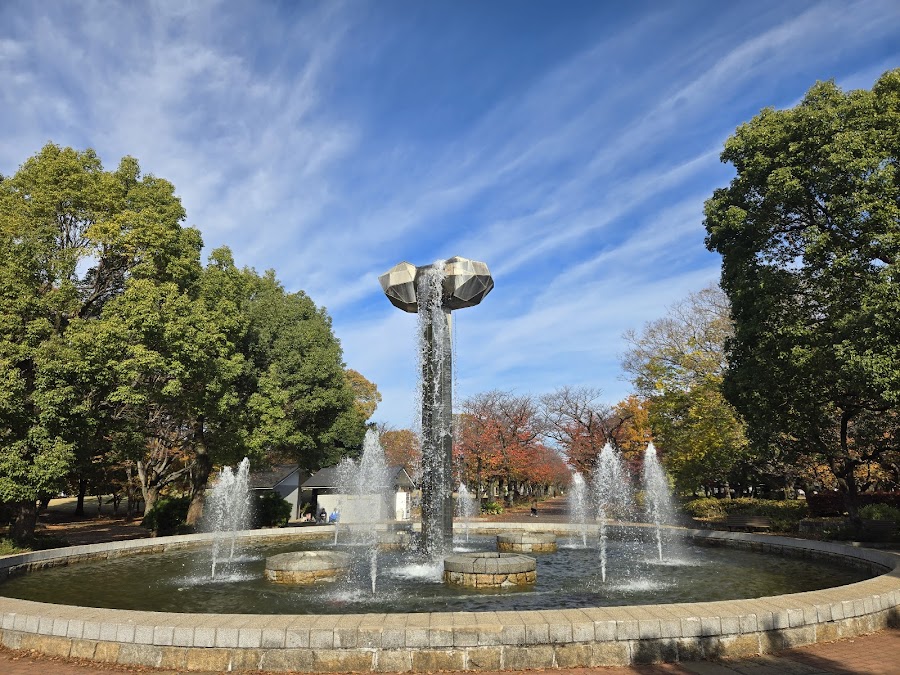 府中の森公園の写真