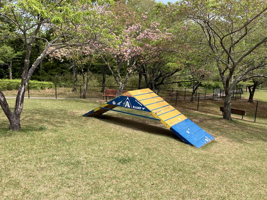 富士川クラフトパーク ドッグラン（クラフト山）の写真