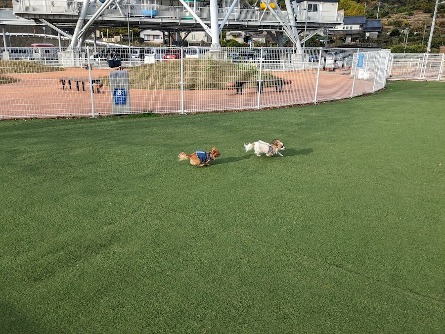 ドッグラン 富士川 EXPASA富士川（上り）の写真