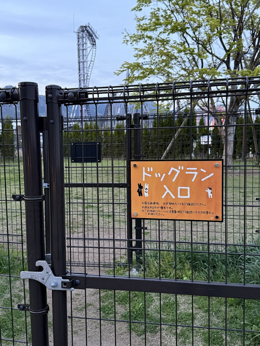 富士急ハイランド ドッグラン（リサとガスパール タウン）の写真