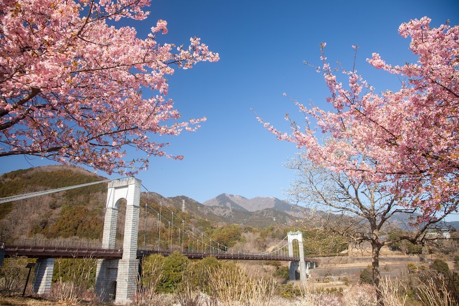 県立秦野戸川公園の写真