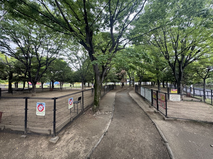 服部ビオパーク ふれあい緑地ドッグランの写真