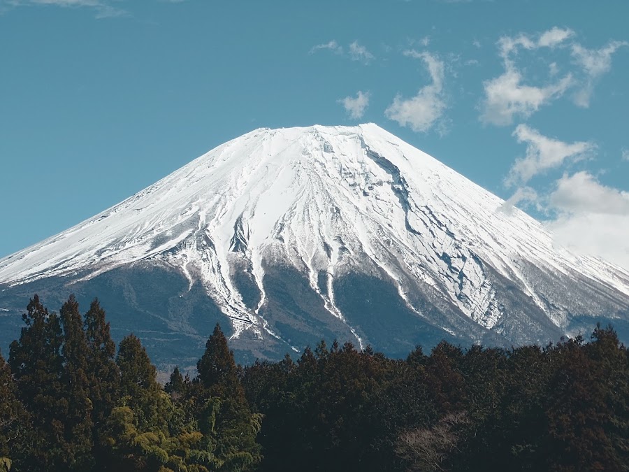 ハートランド・朝霧の写真
