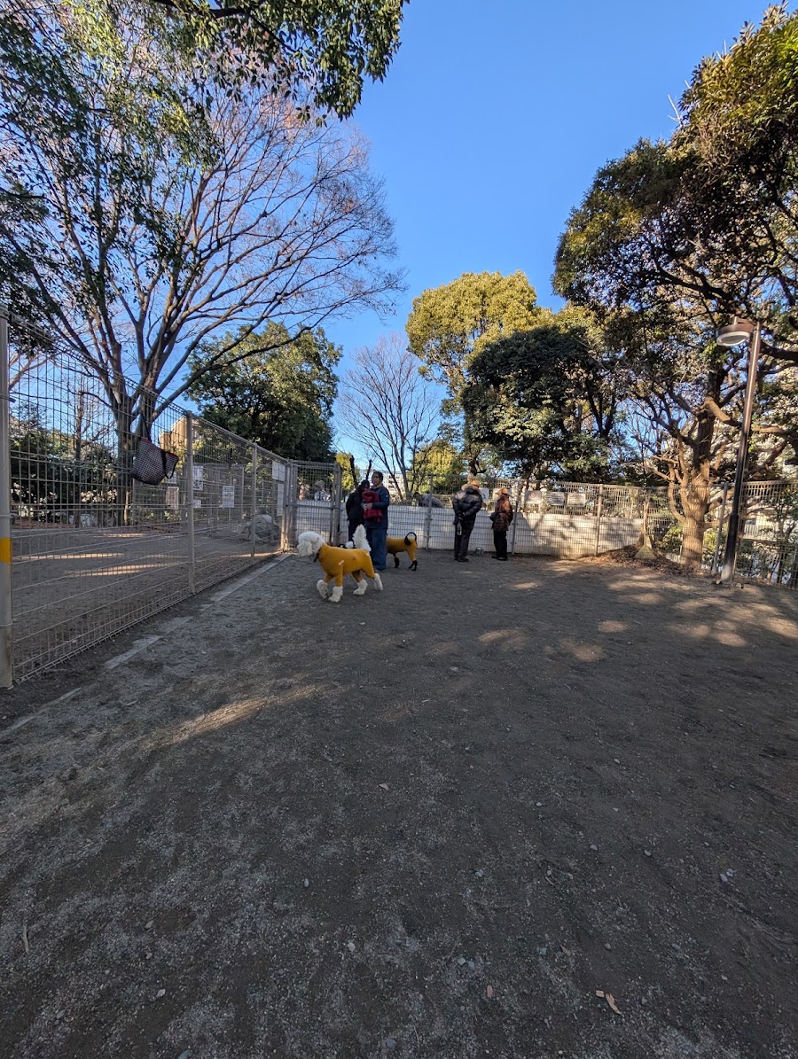 平和の森公園 犬の広場の写真