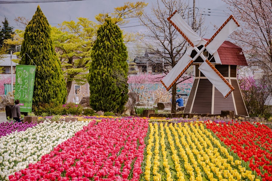 ハーブ庭園 旅日記 勝沼庭園の写真