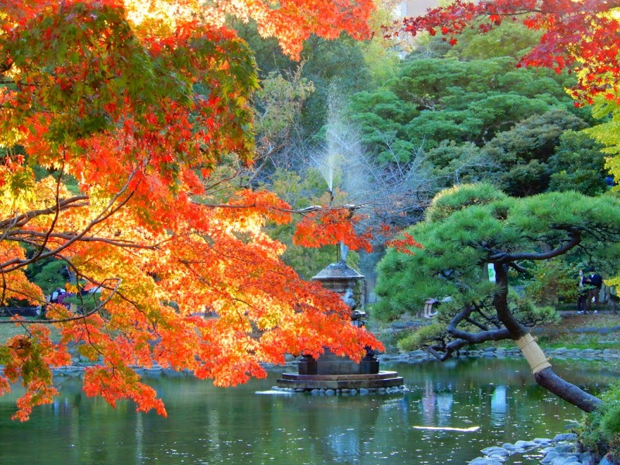 日比谷公園の写真