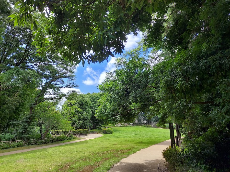 県立東高根森林公園の写真