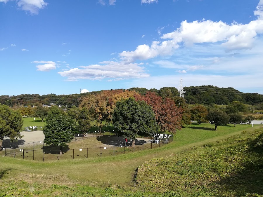 引地川親水公園ドッグパークの写真