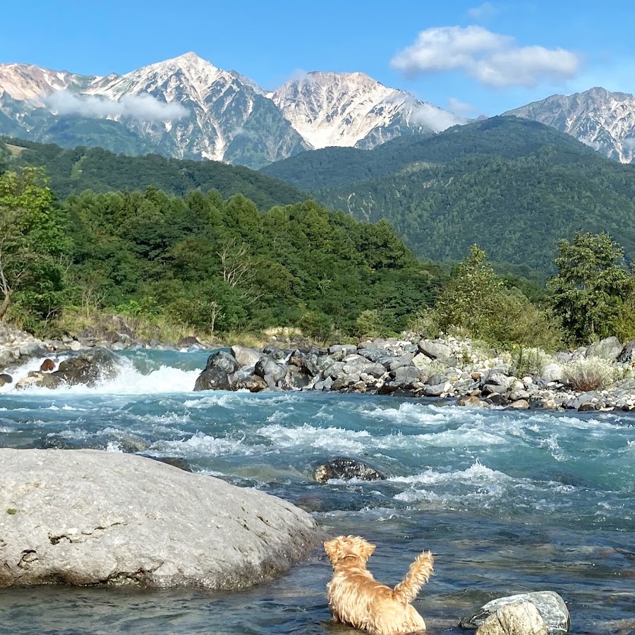 白馬パウダーマウンテンの写真