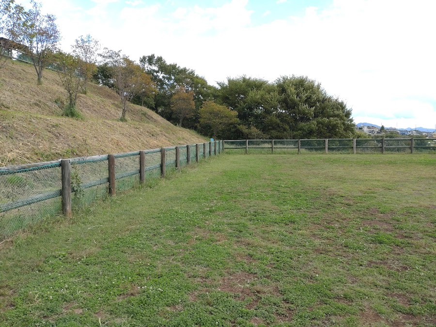 飯綱山公園 ドッグランの写真