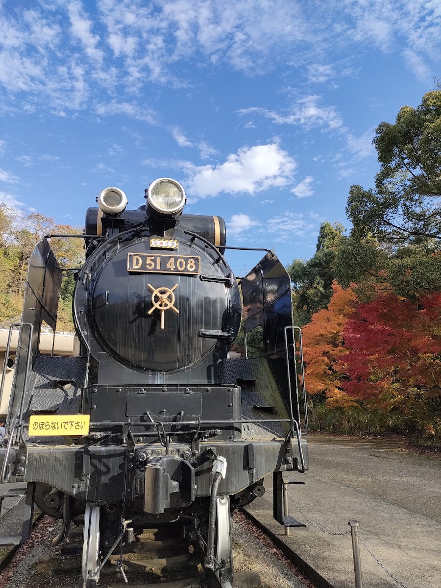 生田緑地の写真
