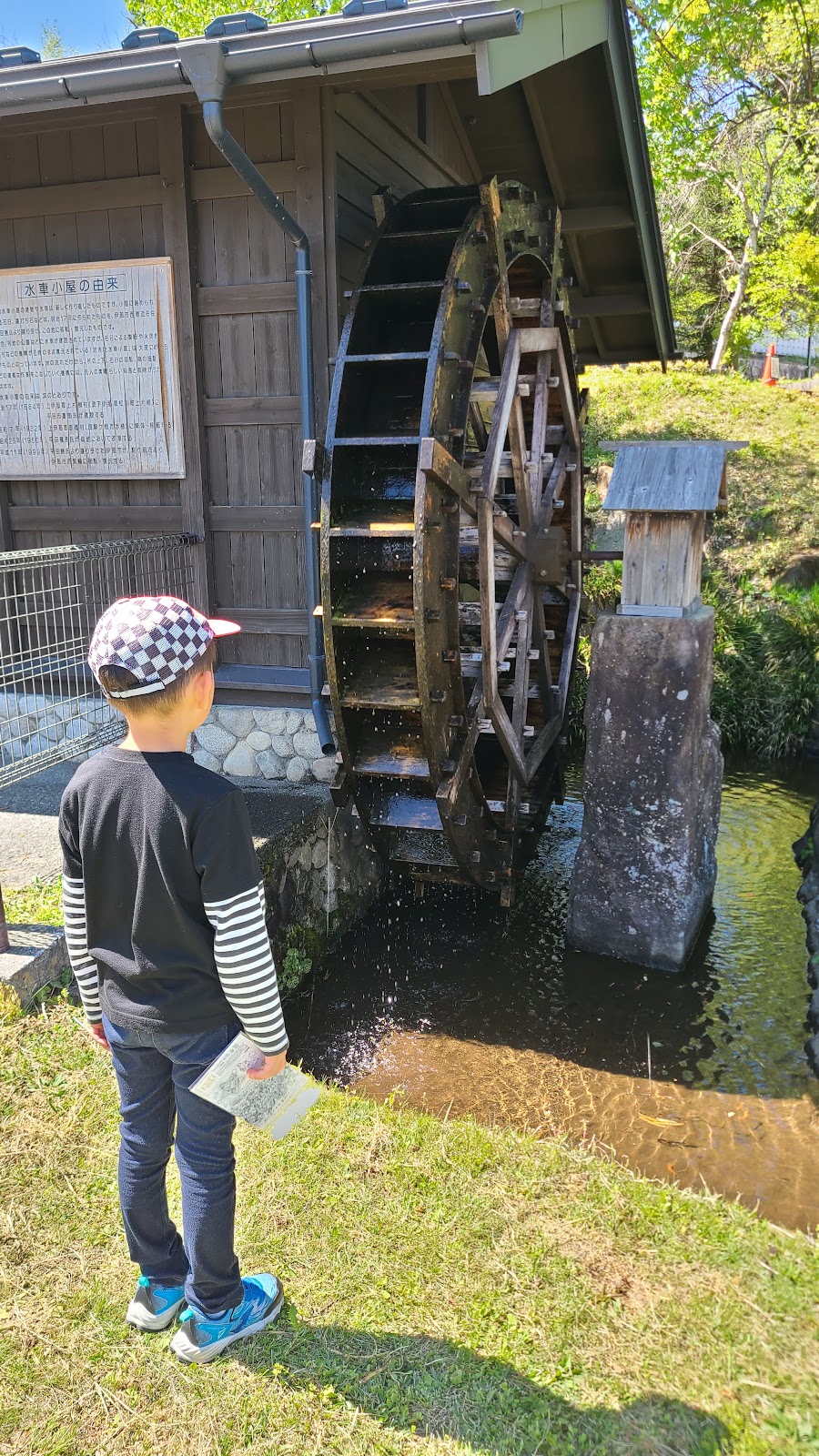 はびろ農業公園 みはらしファーム ドッグランの写真