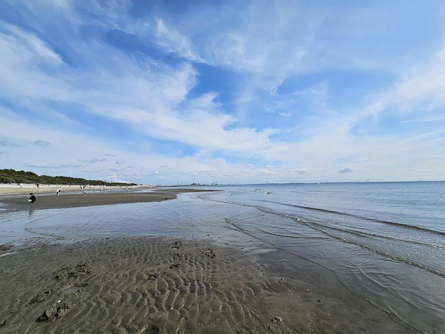 稲毛海浜公園の写真