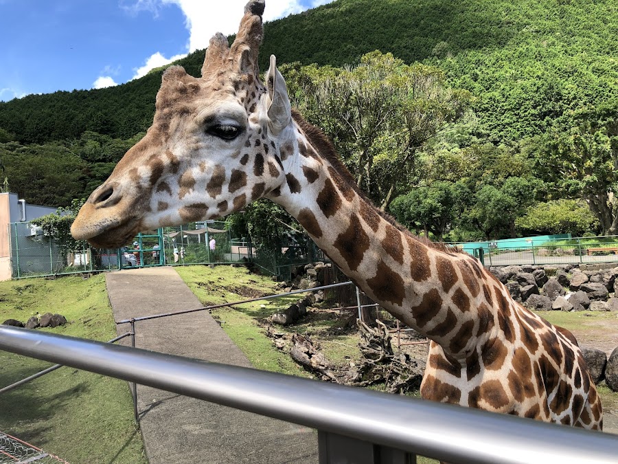 伊豆アニマルキングダムの写真