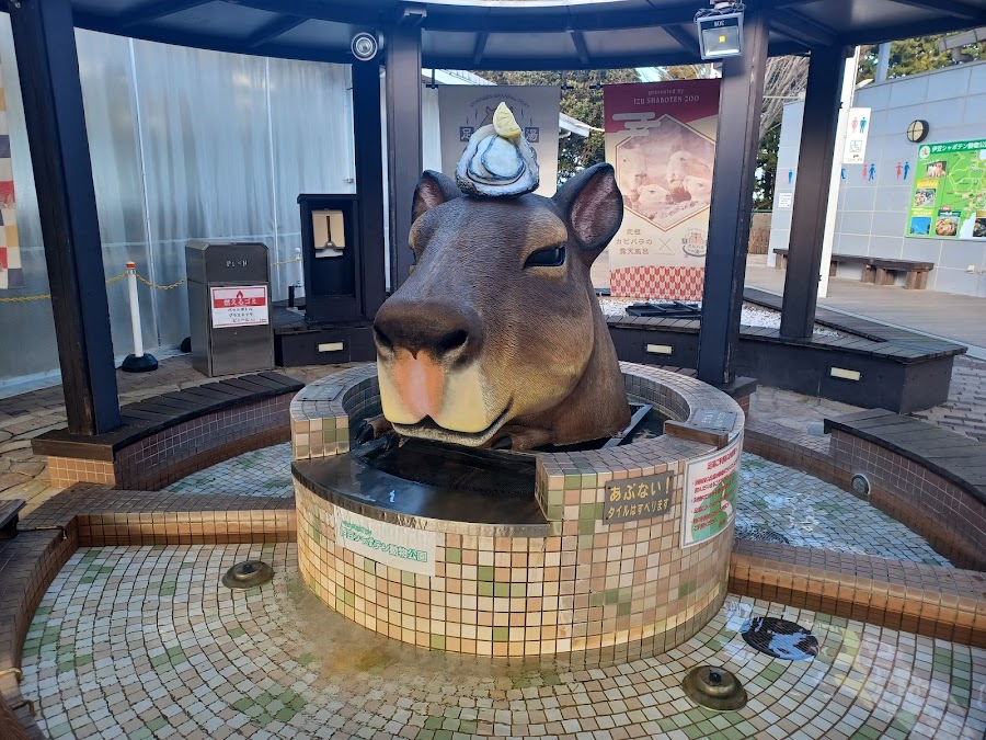 伊豆ぐらんぱる公園の写真
