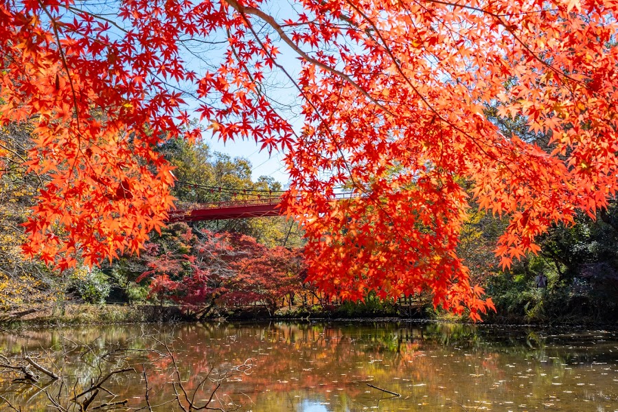 泉自然公園の写真