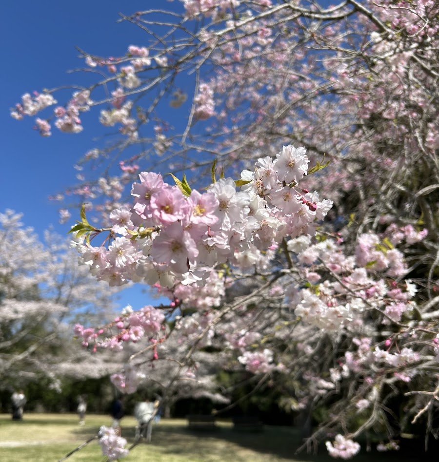泉自然公園の写真