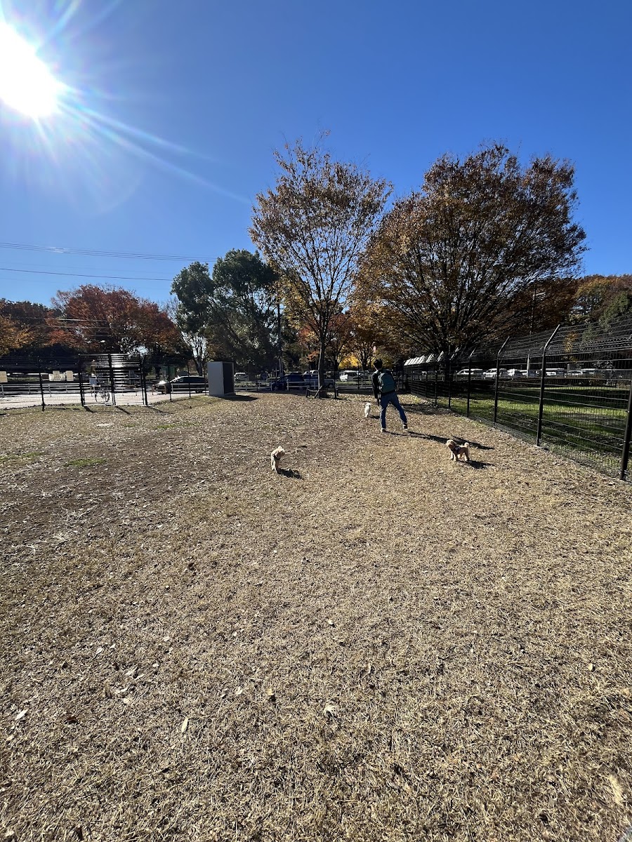 神代植物公園 ドッグランの写真