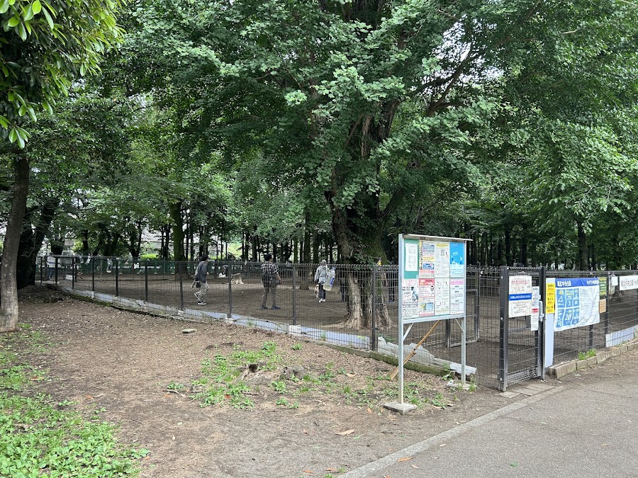 城北中央公園ドッグランの写真