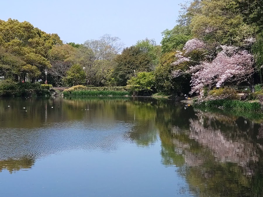 じゅん菜池緑地の写真