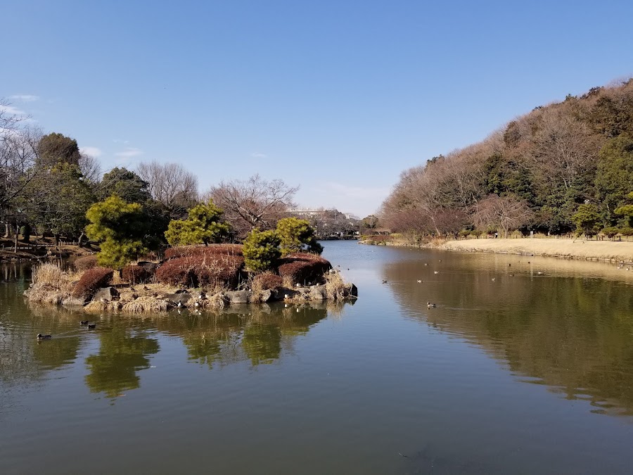 じゅん菜池緑地の写真