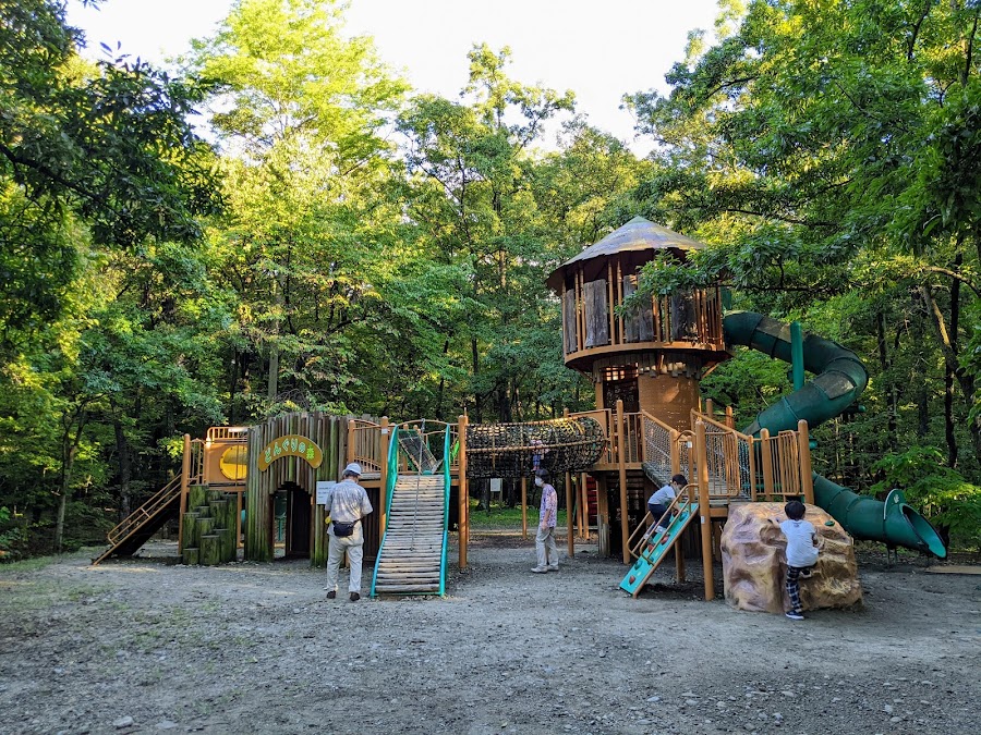 山梨県森林公園 金川の森の写真
