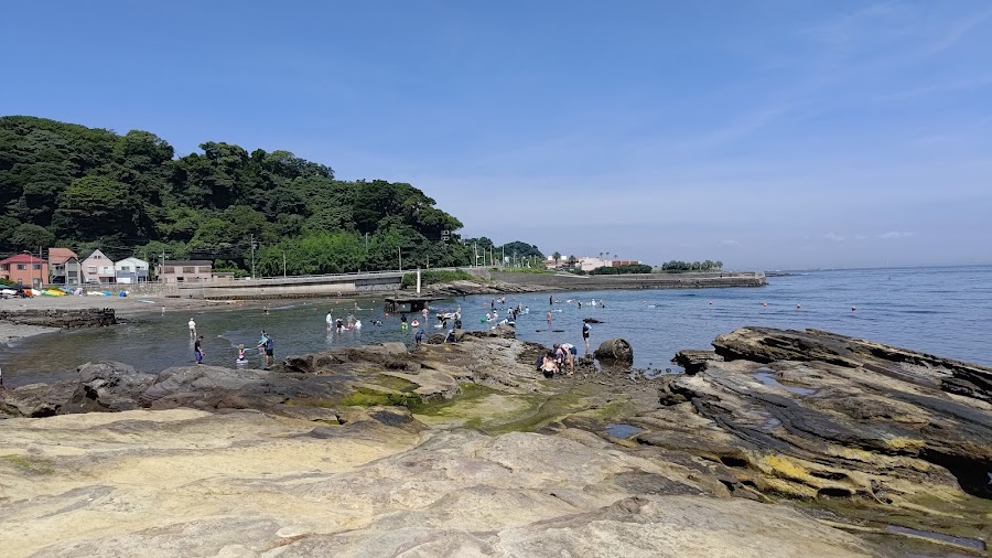 県立観音崎公園の写真