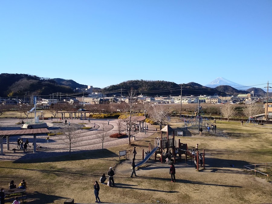 狩野川リバーサイドパークの写真