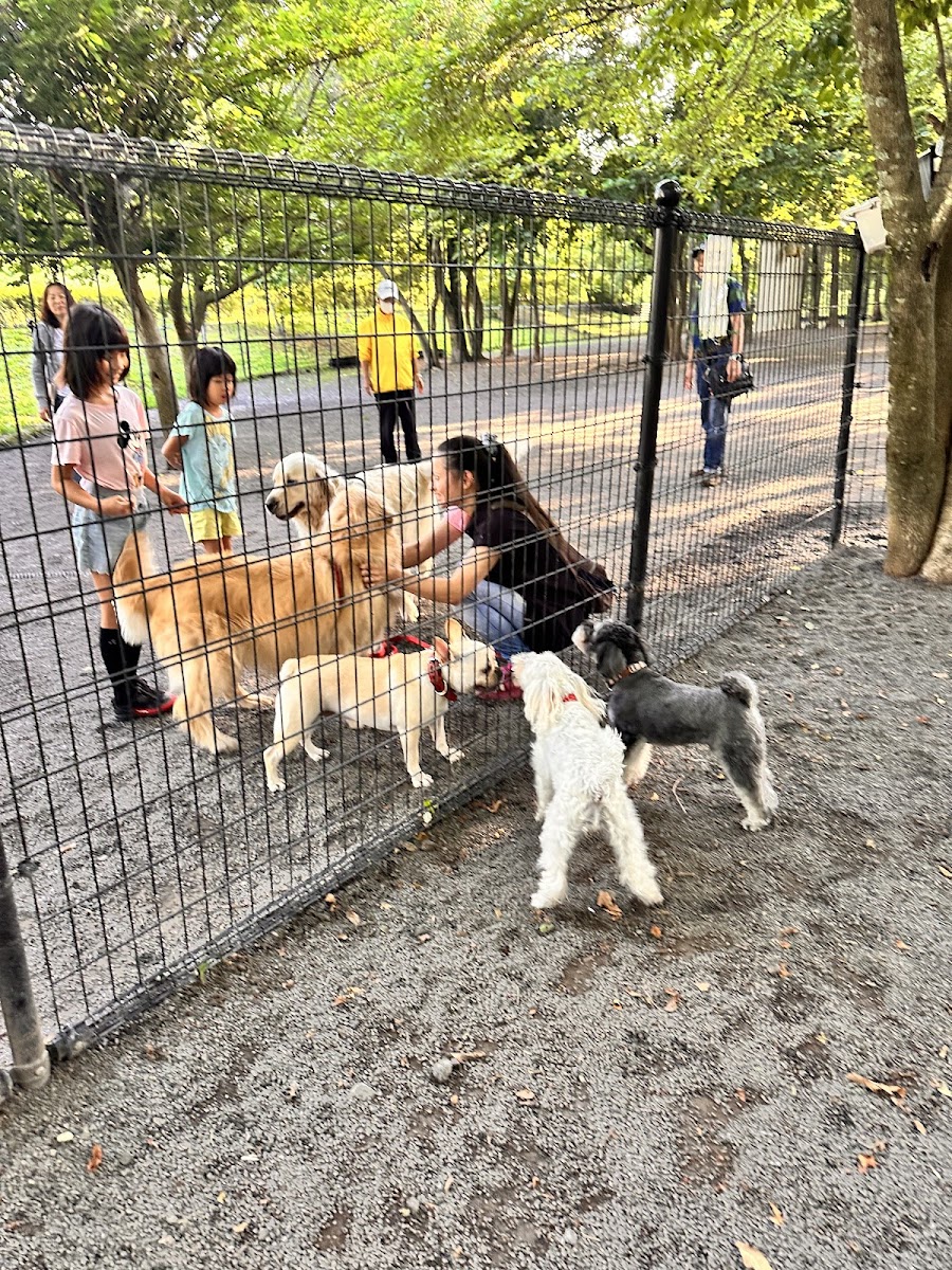 湯川ふるさと公園 ドッグランの写真