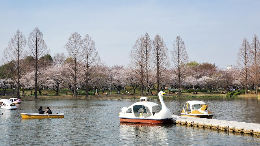 川越水上公園の写真