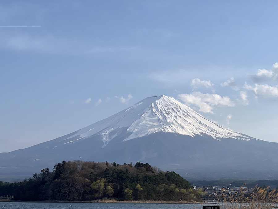 河口湖総合公園の写真