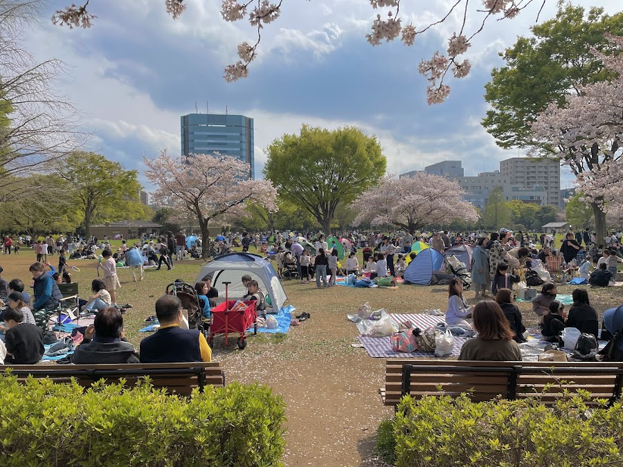 木場公園の写真
