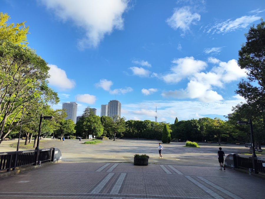 木場公園の写真
