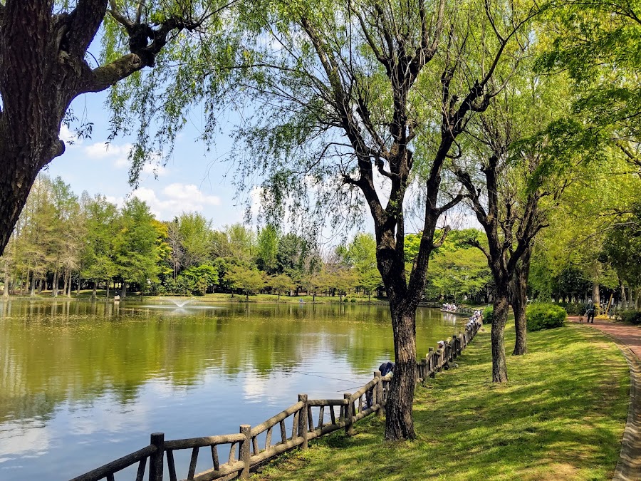 北本総合公園の写真