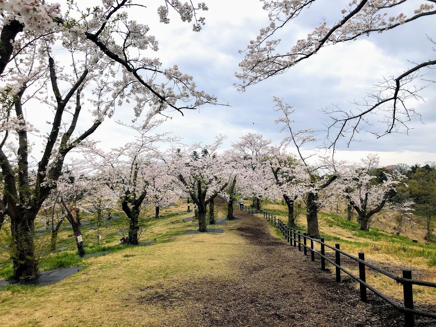 こども自然公園（大池公園）の写真
