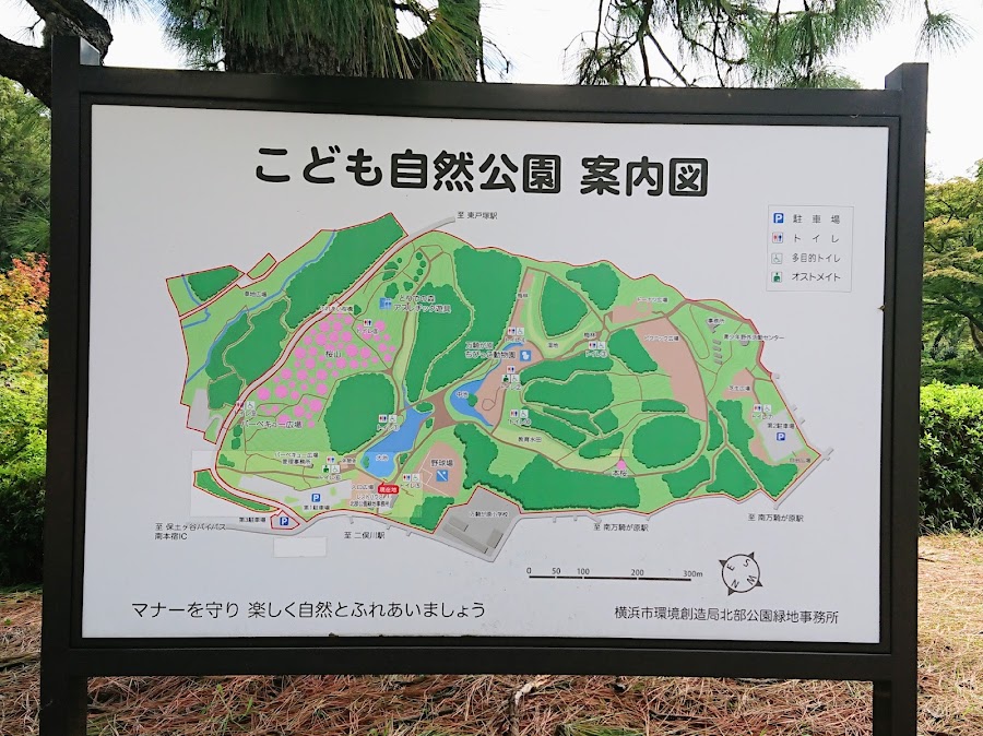 こども自然公園（大池公園）の写真