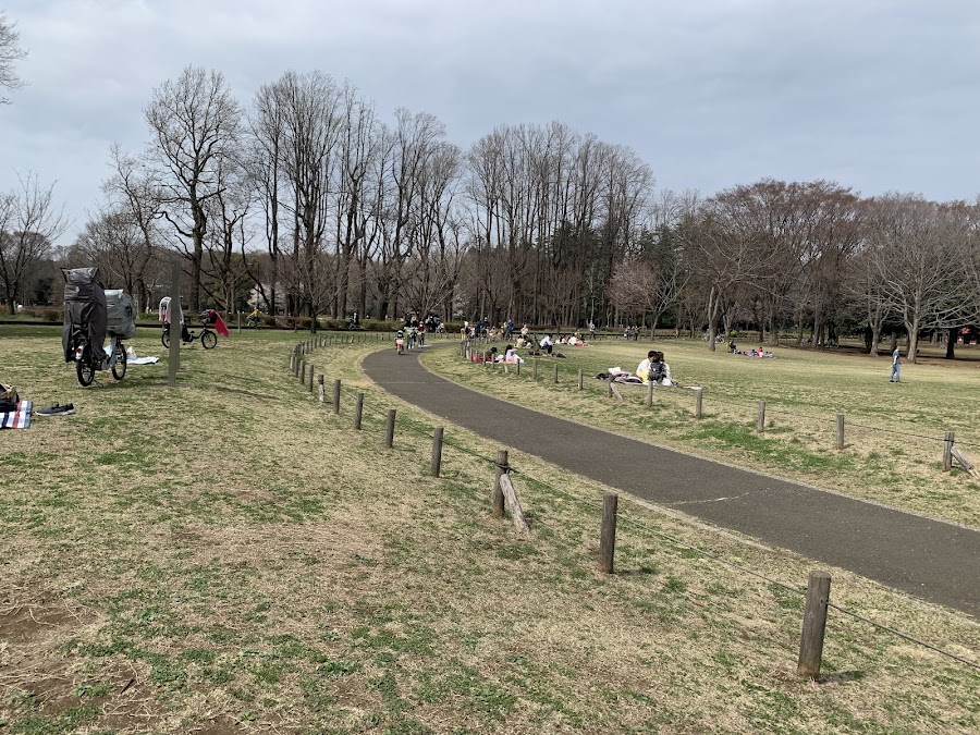 小金井公園の写真