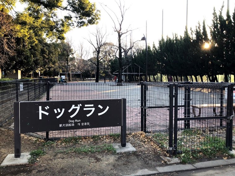 駒沢オリンピック公園 ドッグランの写真
