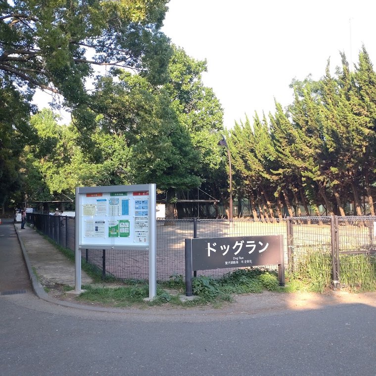 駒沢オリンピック公園 ドッグランの写真